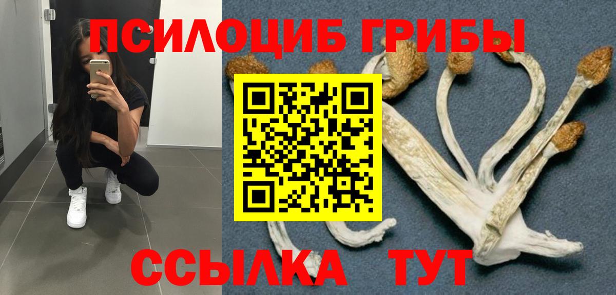 где можно купить наркотик  Вход с VPN  Ивантеевка  Псилоцибиновые грибы Psilocybe  Псилоцибиновые грибы прущие грибы 